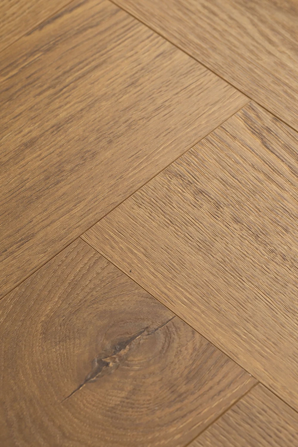 Дуб Серено | Sereno oak 1F343